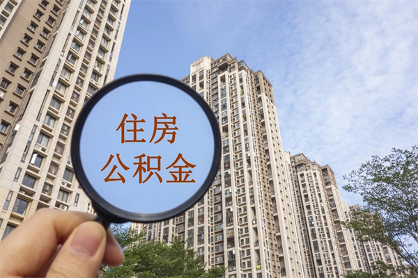 齐河提取公积金正规中介（提取公积金 正规中介）